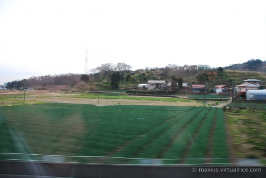 Window View