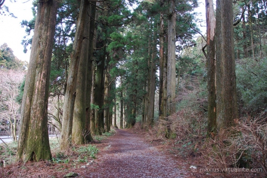 The Old Tokaido
