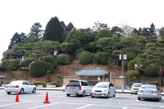 Well manicured Topiary Gardens