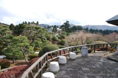 Manicured Gardens