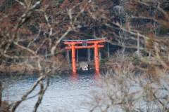 Lakefront Torii gate at the Hakone Shrine