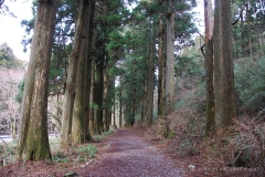 The Old Tokaido