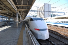 Kodama Shinkansen - Bullet Train