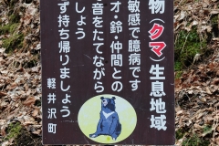 Beware the bear.