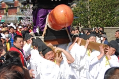 Honen Matsuri Craziness