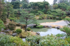My garden...