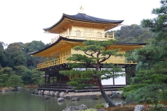 Kinkaku-ji (Golden Pavillion)