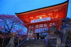 Kiyomizudera @ Night - Deva Gate