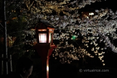 Random street light