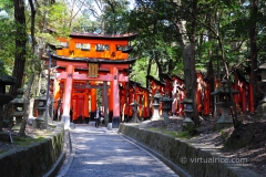 Torii Gates