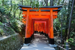 Torii Gates