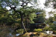 Ginkakuji (Silver Pavilion)