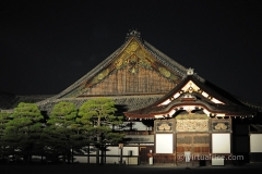 Nijo Castle @ Night