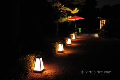 Path lights