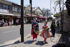 Maiko dressups, Arashiyama