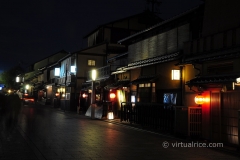 DSC_5368