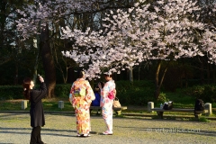 Kyoto (2017)