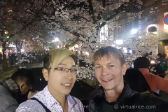 Night Sakura