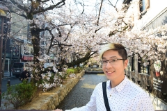 Morning Sakura