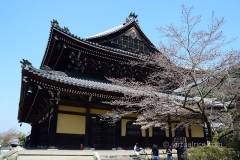 DSC_0881