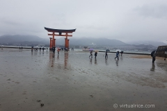 Miyajima Torii Gate at low tide