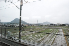 Farm
