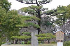 Nagoya Castle Gardens