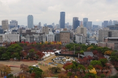 DSC_7551
