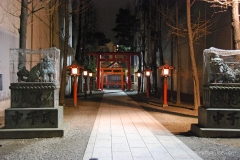 Random Shrine in Shinjuku