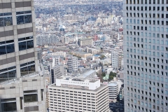 Bird's Eye View over Tokyo
