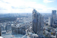 Bird's Eye View over Tokyo