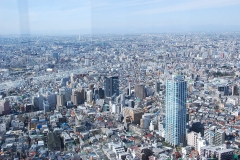 Bird's Eye View over Tokyo
