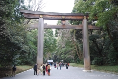 Torii Gate @ Meiji Jingu