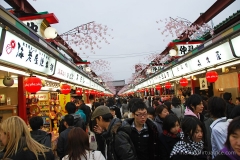 Souvenir Shopping near Senso-ji Temple