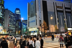 Shinjuku, Tokyo @ Night