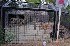 I hate zoos.