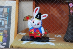 Cute rabbit in a shop window