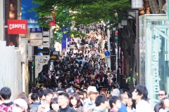 DSC_2852