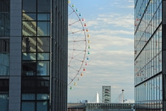 DSC_8043