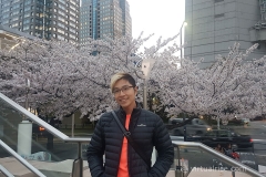 Shinagawa Sakura