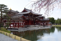 Uji (2017)