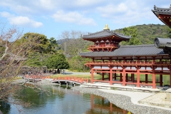 Byodoin Temple, Uji