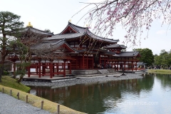 Byodoin Temple, Uji